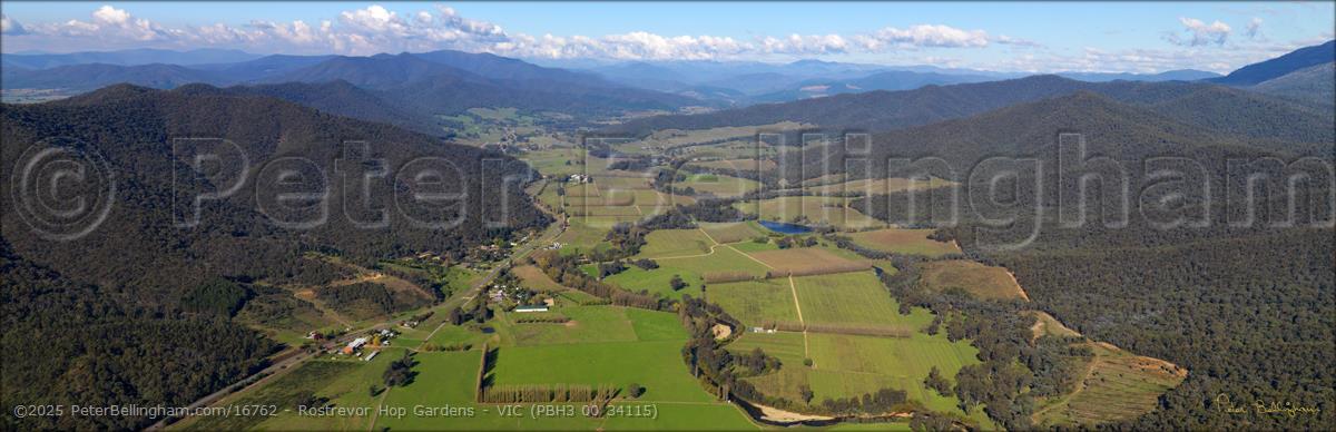 Peter Bellingham Photography Rostrevor Hop Gardens - VIC (PBH3 00 34115)